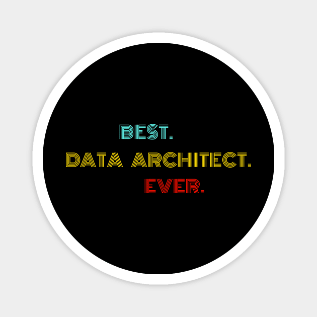 Best Data Architect Ever - Nice Birthday Gift Idea Magnet by Szokebobi